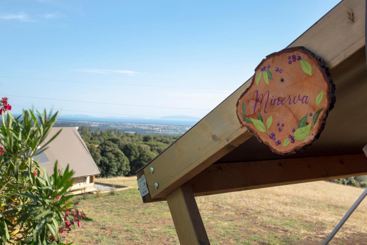 Glamping Debbiare Hotel Riparbella Eksteriør billede