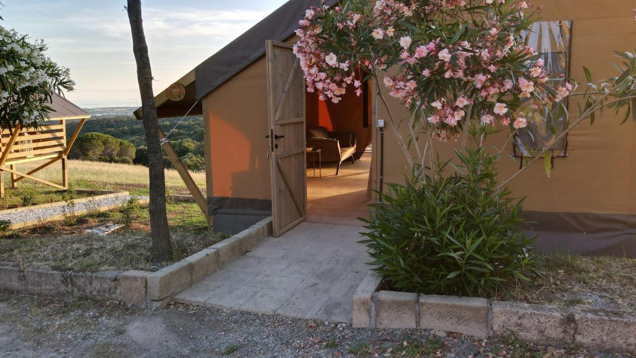 Glamping Debbiare Hotel Riparbella Eksteriør billede